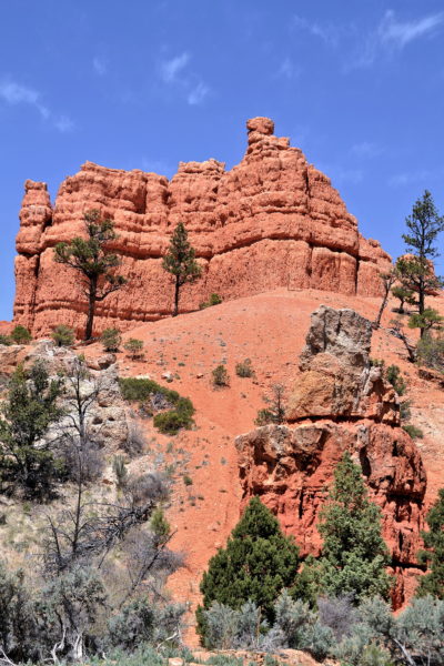 Plenty of Trails in Red Canyon, Utah - Encircle Photos