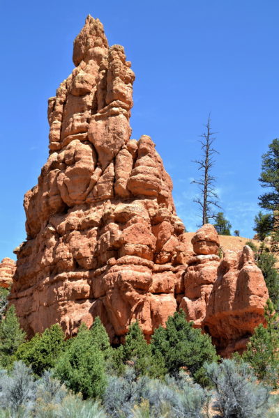 Sensational Hoodoo in Red Canyon, Utah - Encircle Photos