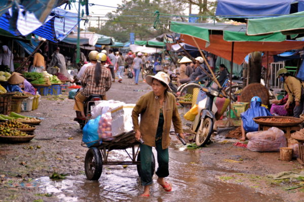Woman Pulling Cart at Dong Ba Market in Hue, Vietnam - Encircle Photos