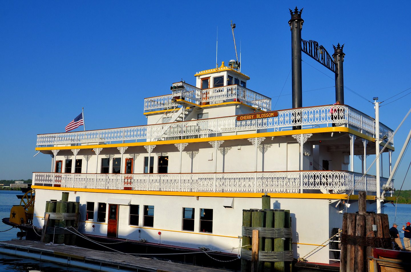 Cherry Blossom Riverboat on Potomac River in Alexandria, Virginia