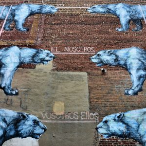 Six Large Cats Mural by Jaz in Richmond, Virginia - Encircle Photos