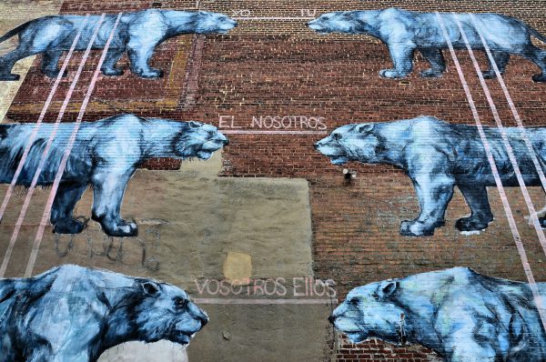 Six Large Cats Mural by Jaz in Richmond, Virginia - Encircle Photos
