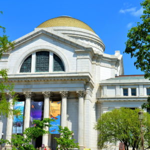 National Museum of Natural History in Washington, D.C. - Encircle Photos