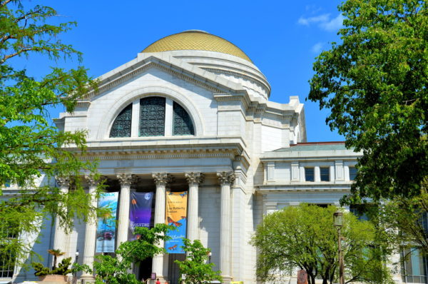 National Museum of Natural History in Washington, D.C. - Encircle Photos