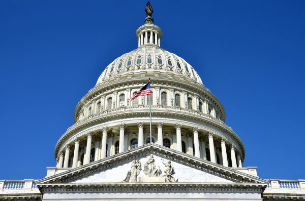 U.S. Capitol Dome in Washington, D.C. - Encircle Photos