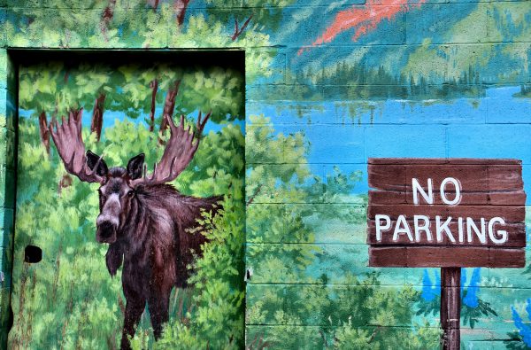 Bull Moose and No Parking Sign Mural in Jackson, Wyoming - Encircle Photos