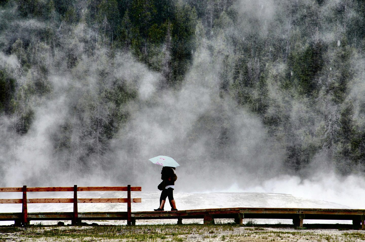 Couple Crossing Bridge in Yellowstone, Wyoming - Encircle Photos